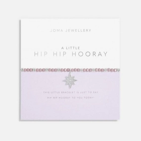 Live Life In Colour Hip Hip Hooray Silver And Lilac 17.5cm Bracelet 6229