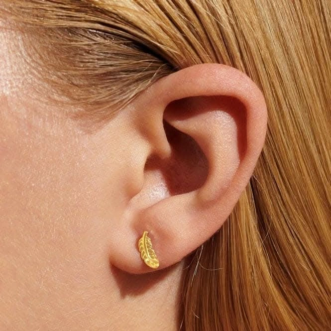 Mini Charms Feather Gold Plated Earrings 7057