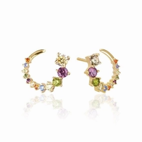 Multicoloured Zirconia Belluno Circolo Earrings SJ-E42109-ACZ-SG