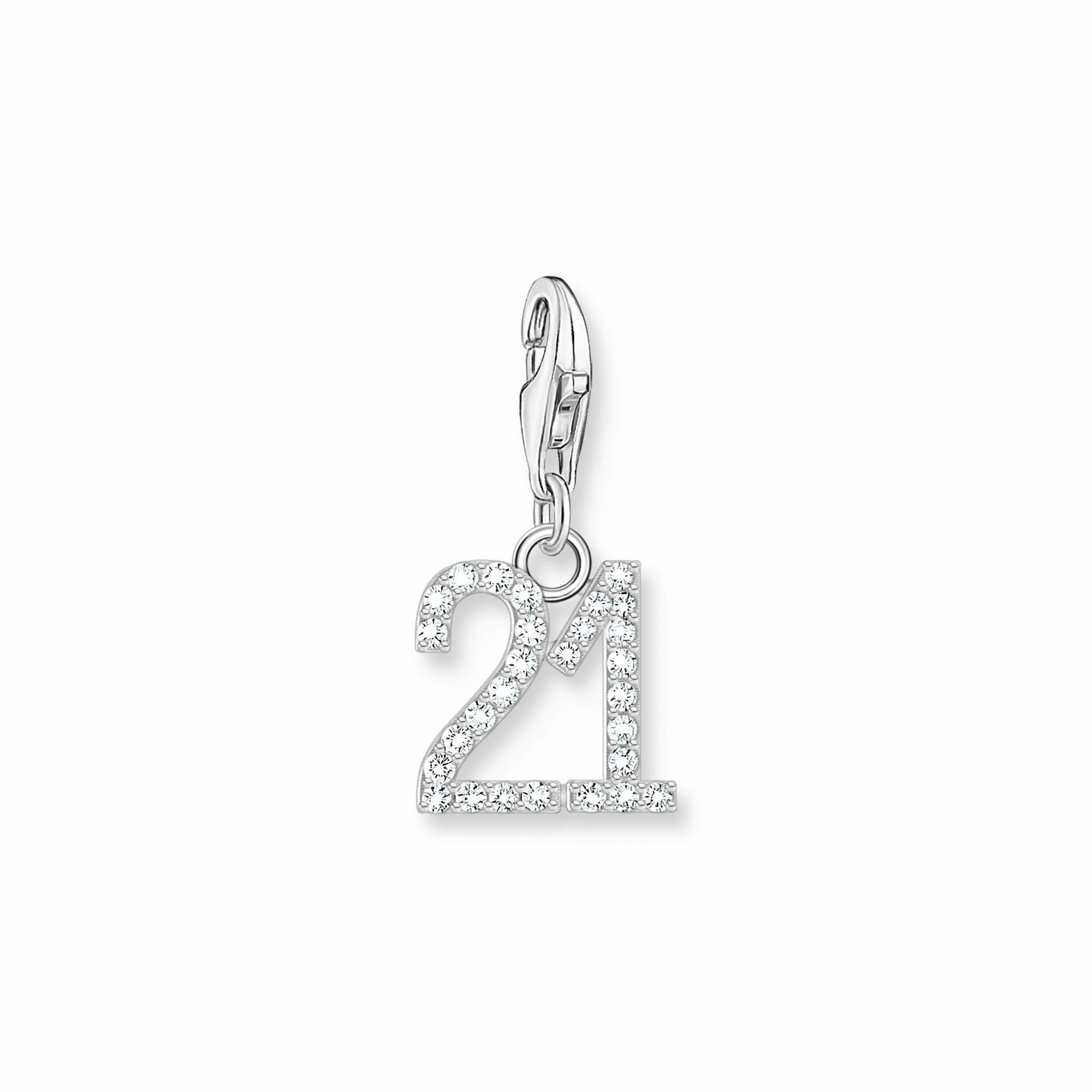 Number 21 silver charm