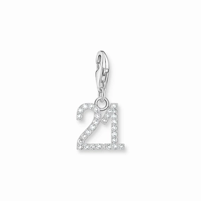 Number 21 silver charm