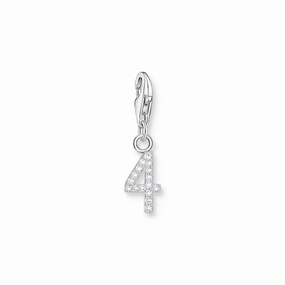 Number 4 silver charm
