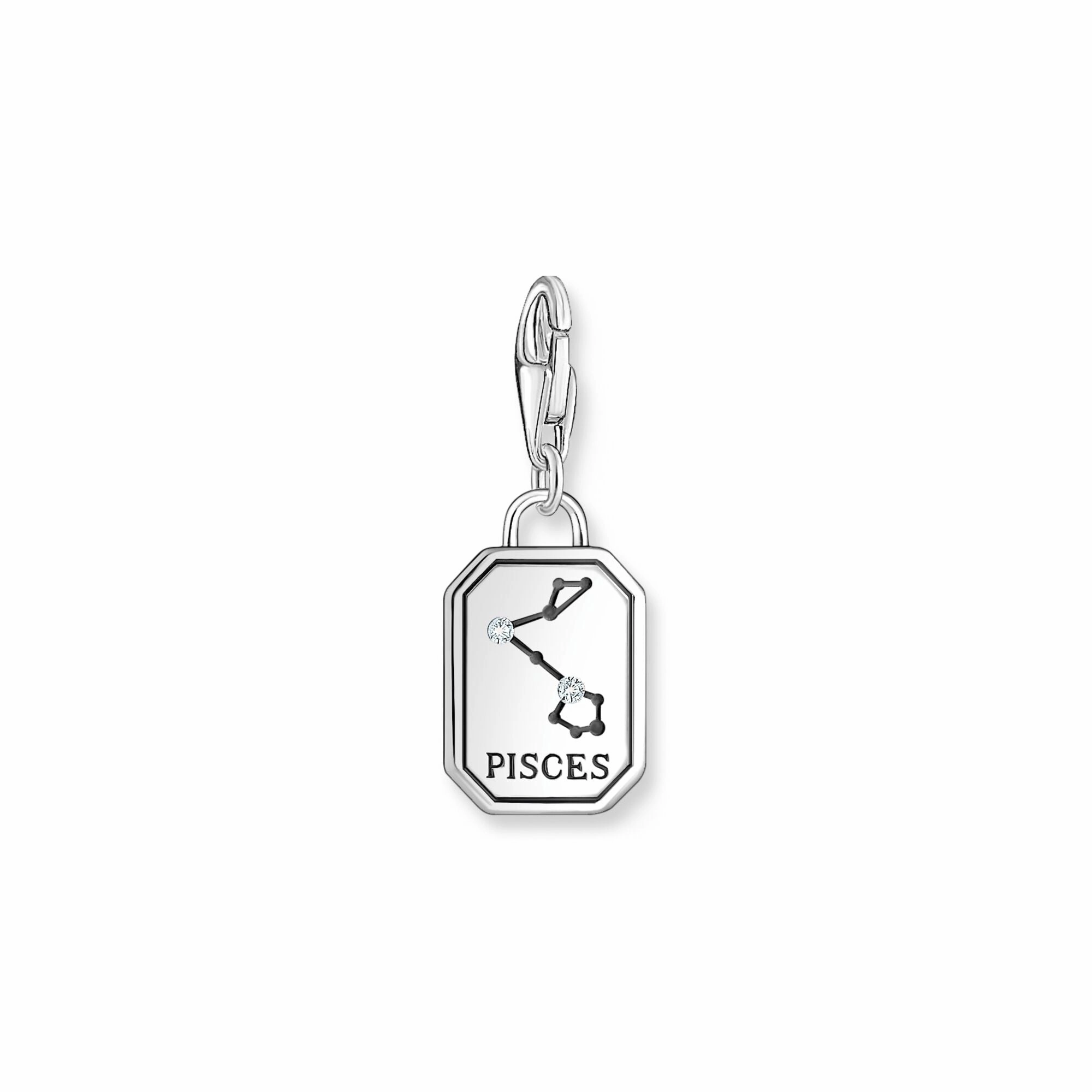 Pisces zodiac sign silver charm Pendant