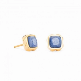 Stainless Steel Blue Gold Ear Studs 1200/21-0716