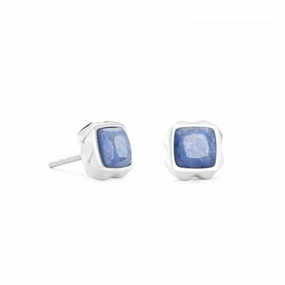 Stainless Steel Blue Silver Ear Studs 1200/21-0717