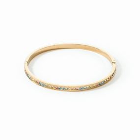Stainless Steel Crystal Glass Multicolour Pastel Gold Bangle 0127/33-1590