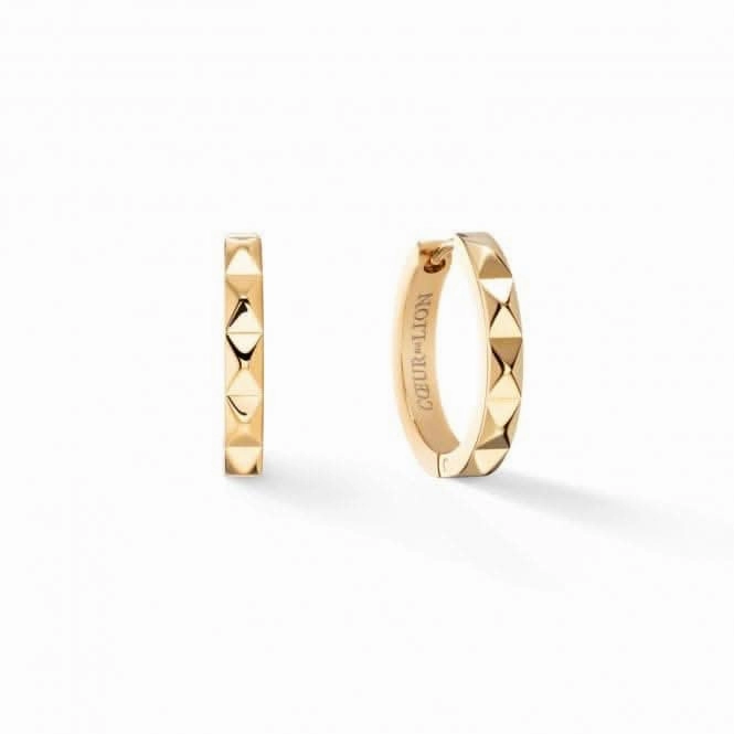 Stainless Steel Gold Ear Studs 0135/21-1600