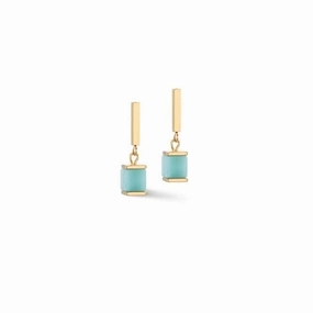 Stainless Steel Multicolour Gentle Ear Studs 4425/21-1576
