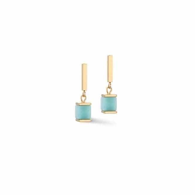 Stainless Steel Multicolour Gentle Ear Studs 4425/21-1576