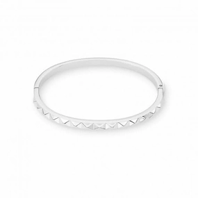 Stainless Steel Silver Bracelet 0135/32-1700