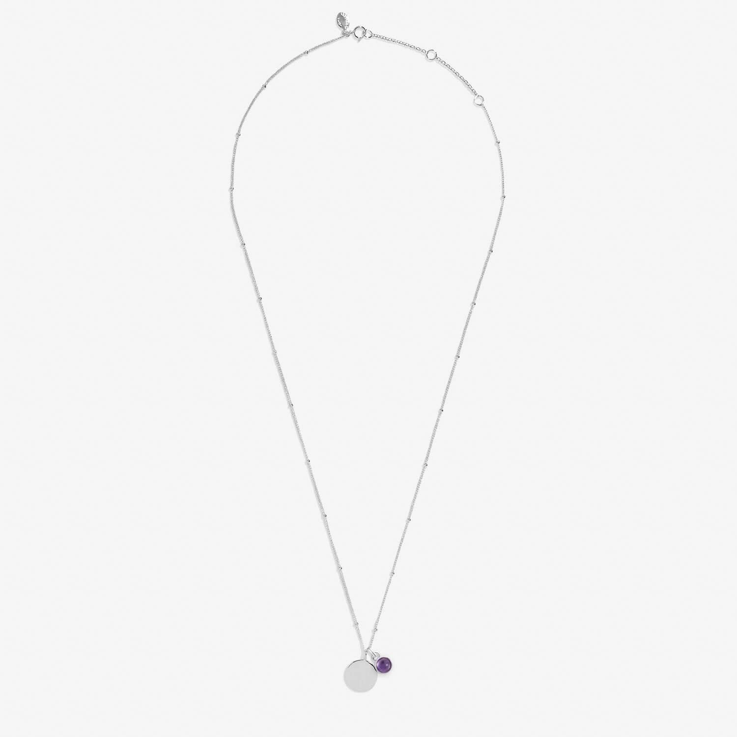 Sterling Silver Birthstone A Little February Necklace JJS0071