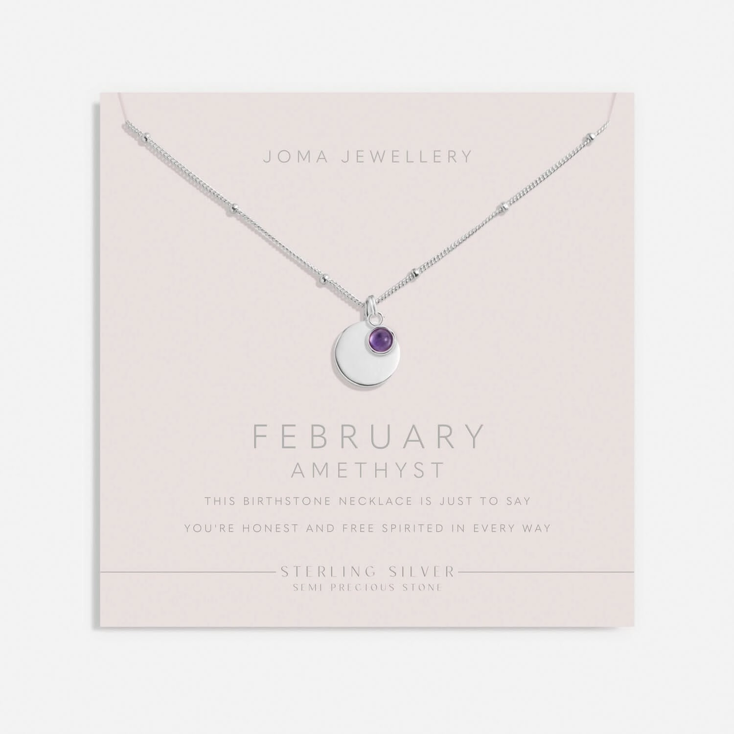 Sterling Silver Birthstone A Little February Necklace JJS0071