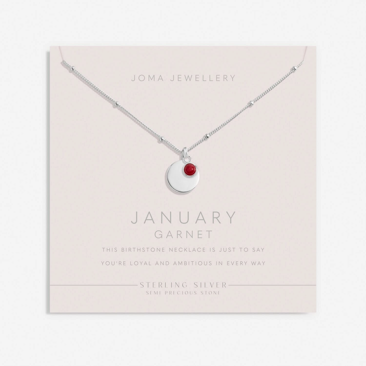 Sterling Silver Birthstone A Little January Necklace JJS0070