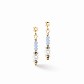 Swarovski Crystal Light Blue Ear Studs 4434/21-0720