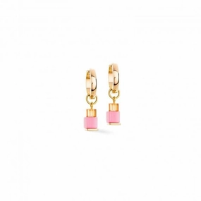 Swarovski Crystal Multicolour Ear Studs 4712/21-1500